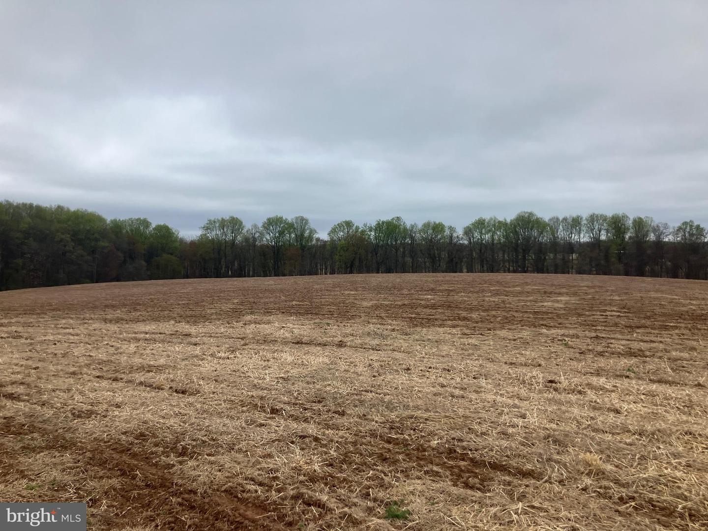 20020 Peach Tree Property Photo 1