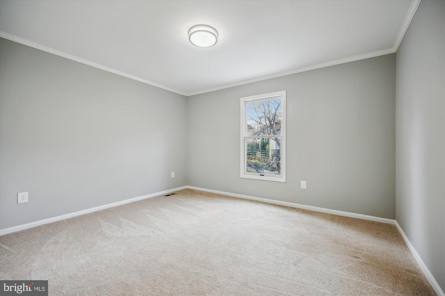11906 Leatherbark Way Property Photo 23
