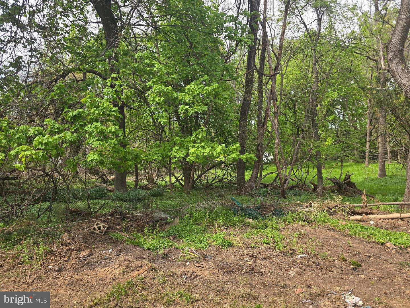133 Bonifant Rd Property Photo 20