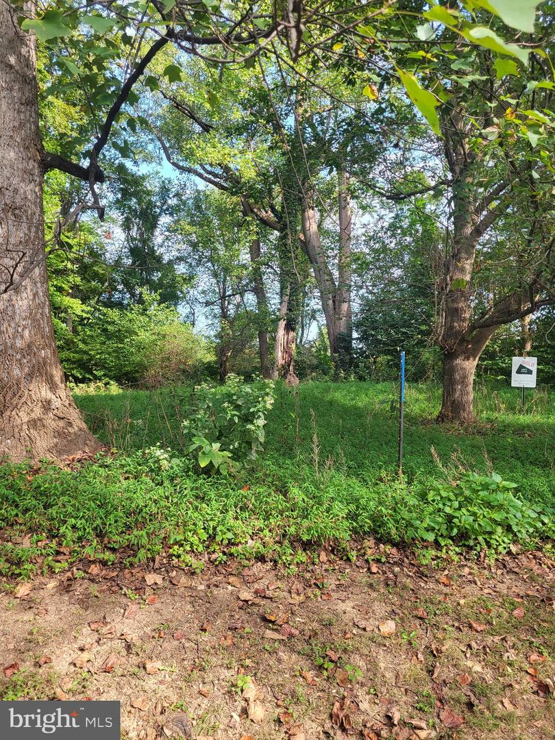 13309 Evening Ride Way Property Photo 2