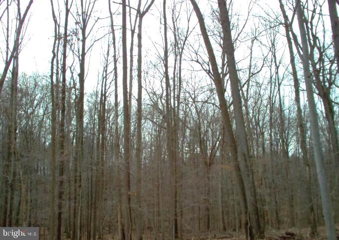 550 Bryants Nursery Rd Property Photo 1