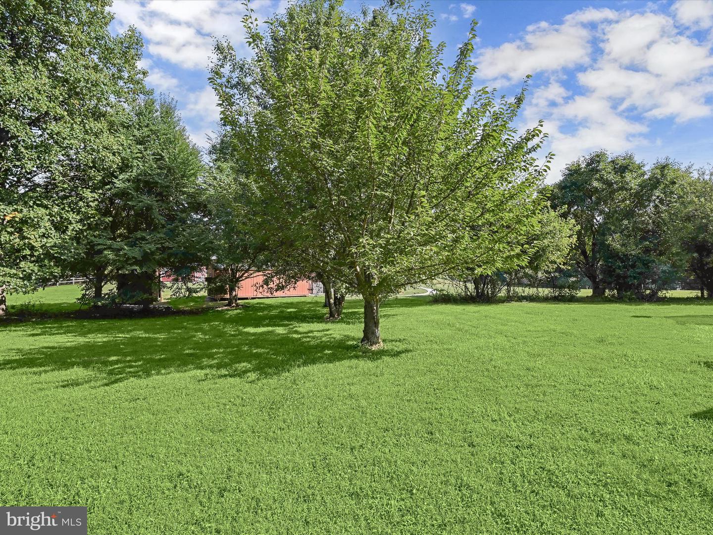 21618 Slidell Rd Property Photo 57