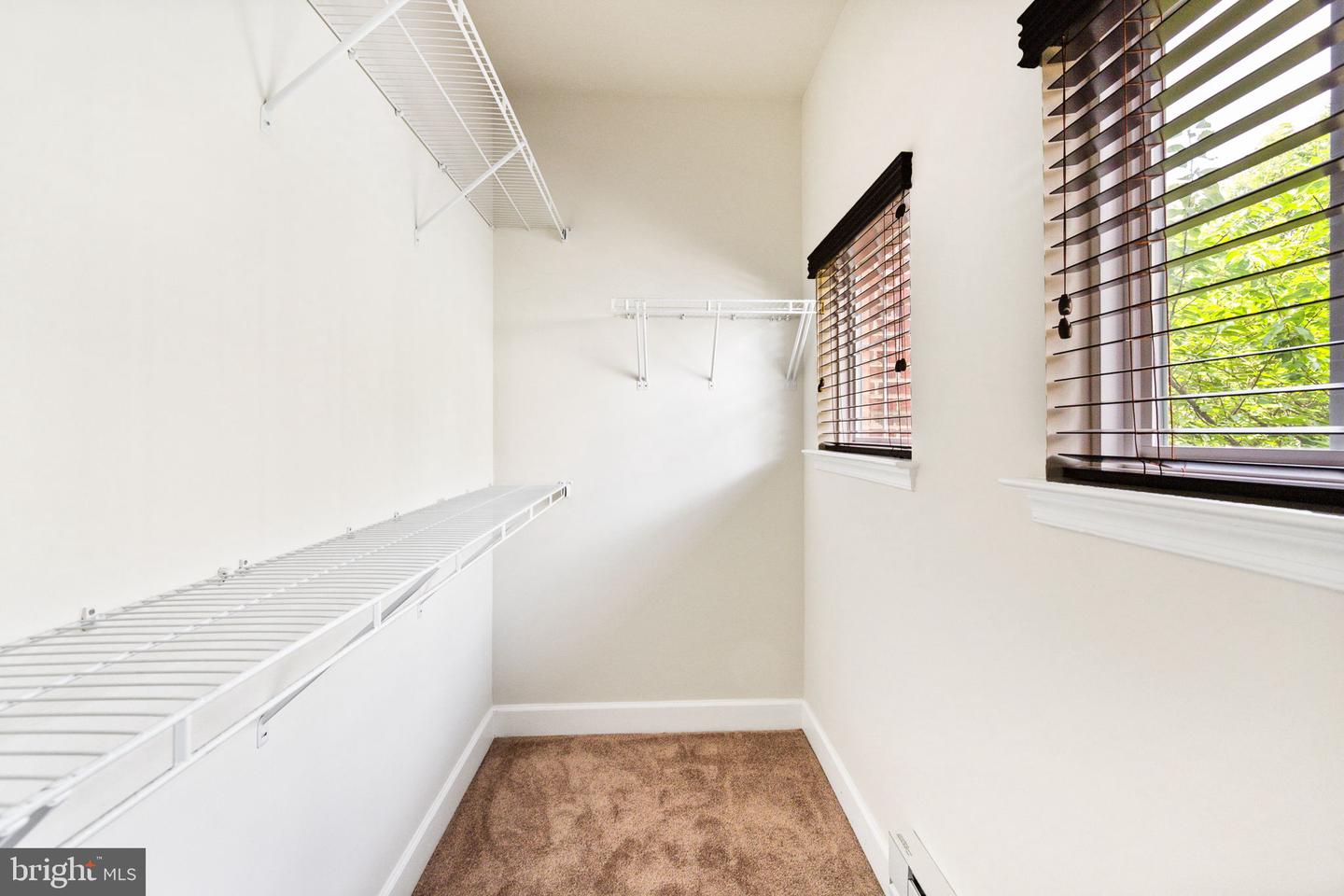 13612 Dover Cliffs Pl #13612 Property Photo 18