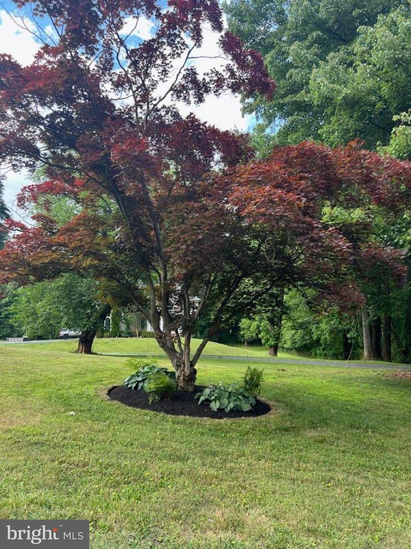 27 Dudley Ct #27 Property Photo 1