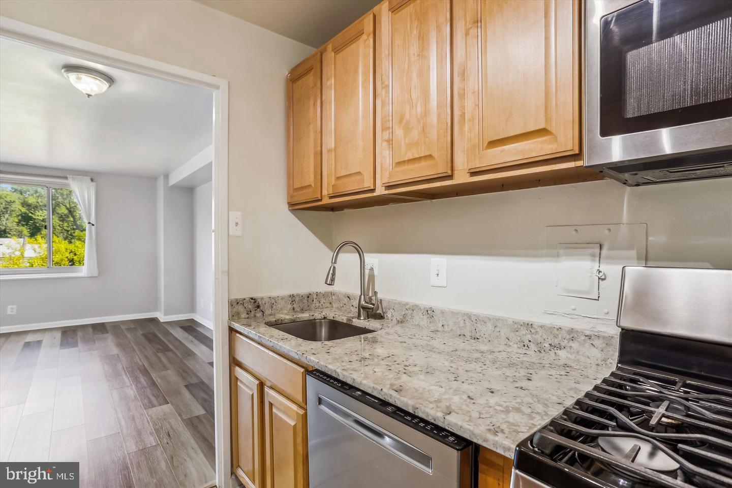 1900 Lyttonsville Rd #602 Property Photo 22