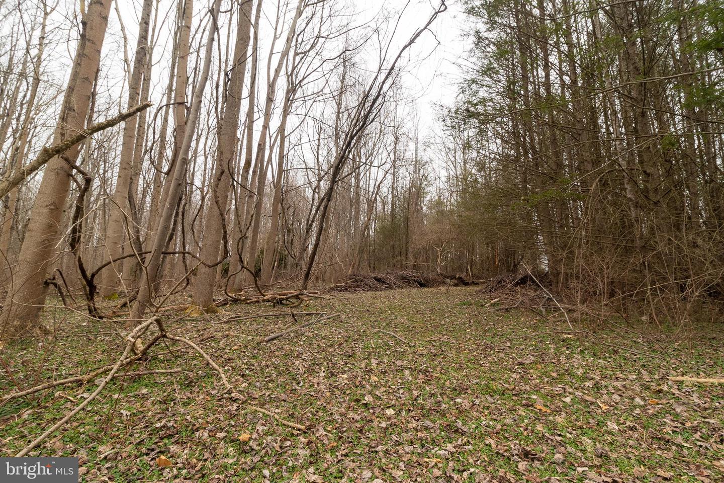 1625 Ashton Rd Property Photo 5