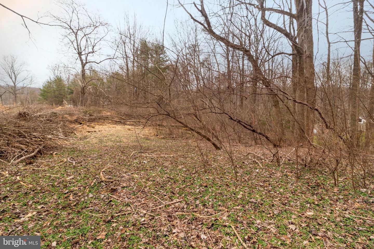 1625 Ashton Rd Property Photo 6