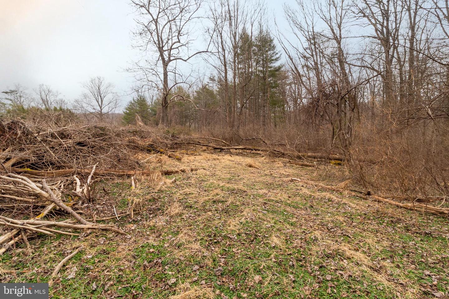 1625 Ashton Rd Property Photo 7