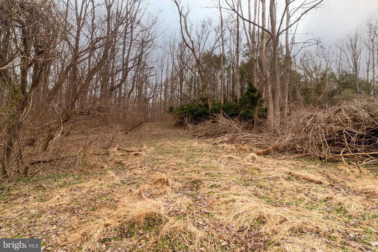1625 Ashton Rd Property Photo 8