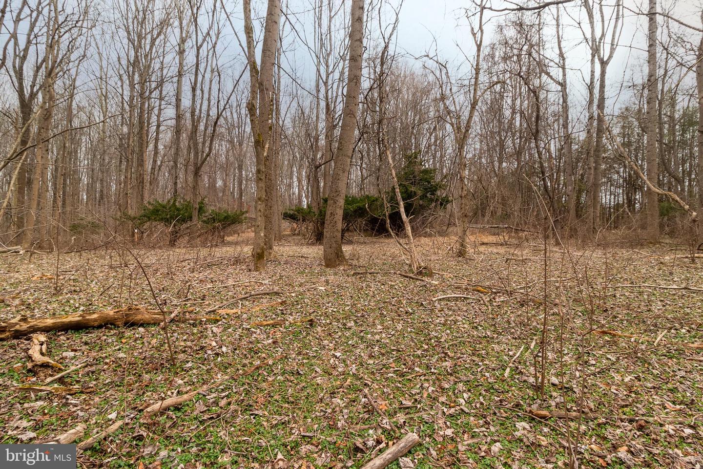 1625 Ashton Rd Property Photo 12