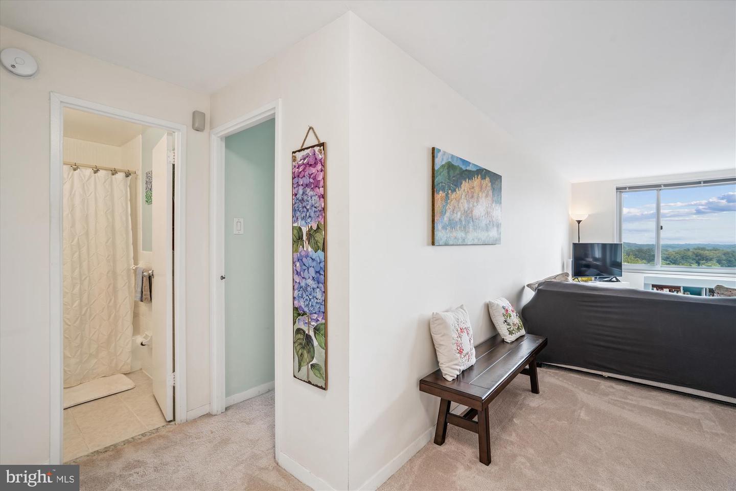 1900 Lyttonsville Rd #1308 Property Photo 18