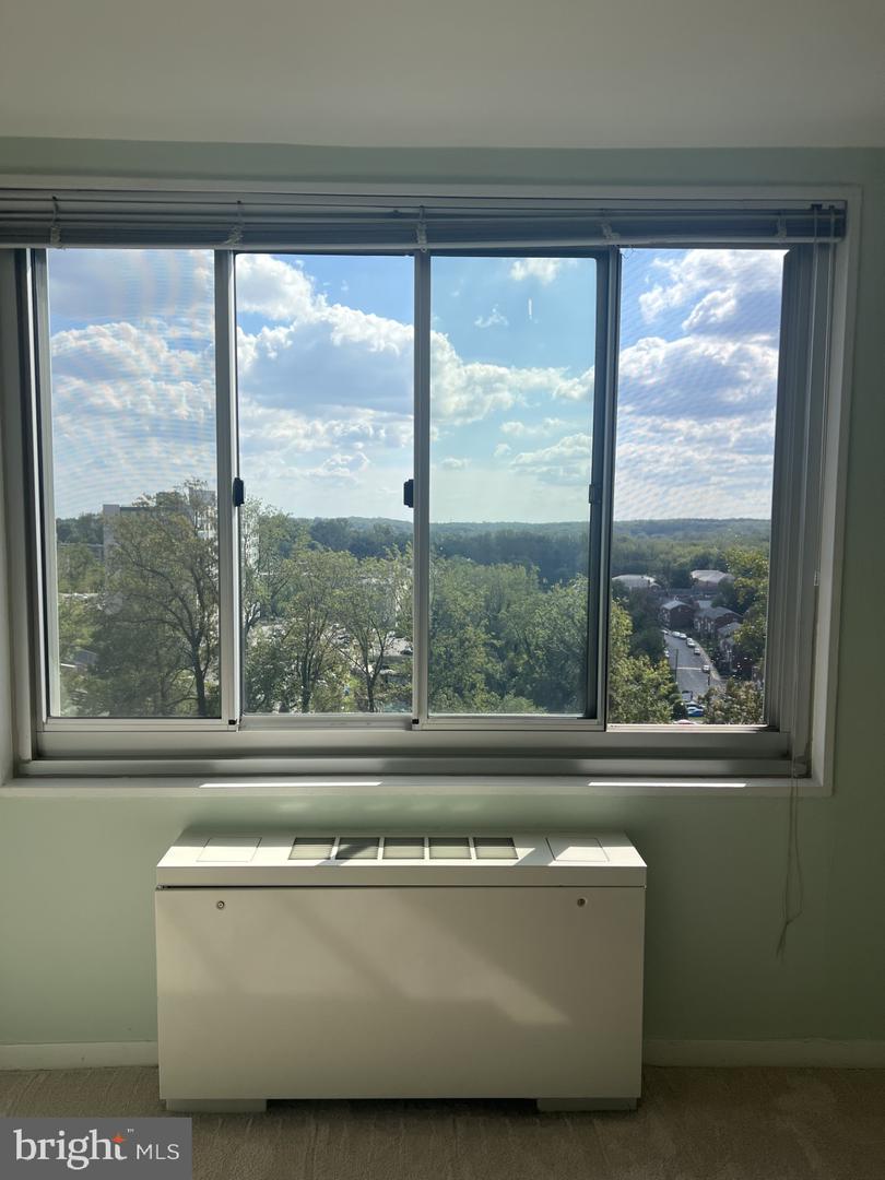 1900 Lyttonsville Rd #1308 Property Photo 28