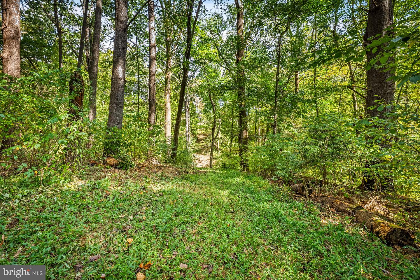 660 Greenbridge Rd Property Photo 37