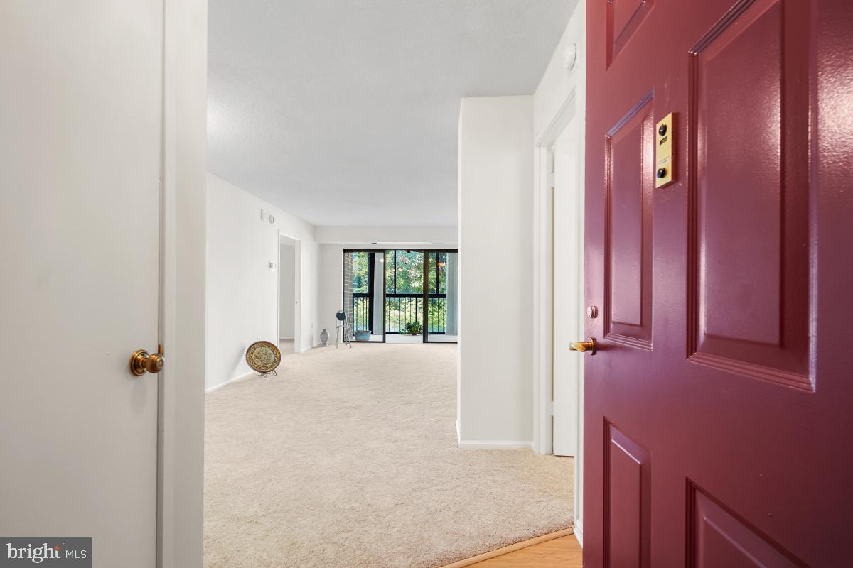 15107 Interlachen Dr #2-321 Property Photo 7