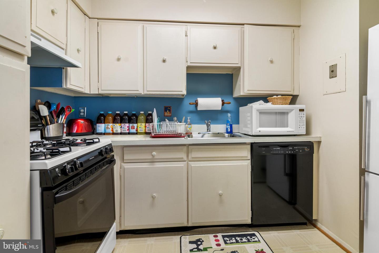 9800 Georgia Ave #25-301 Property Photo 12