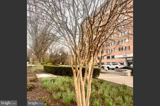 1900 Lyttonsville Rd #717 Property Photo 3
