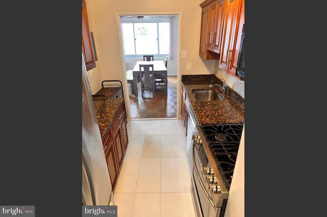 1900 Lyttonsville Rd #717 Property Photo 10