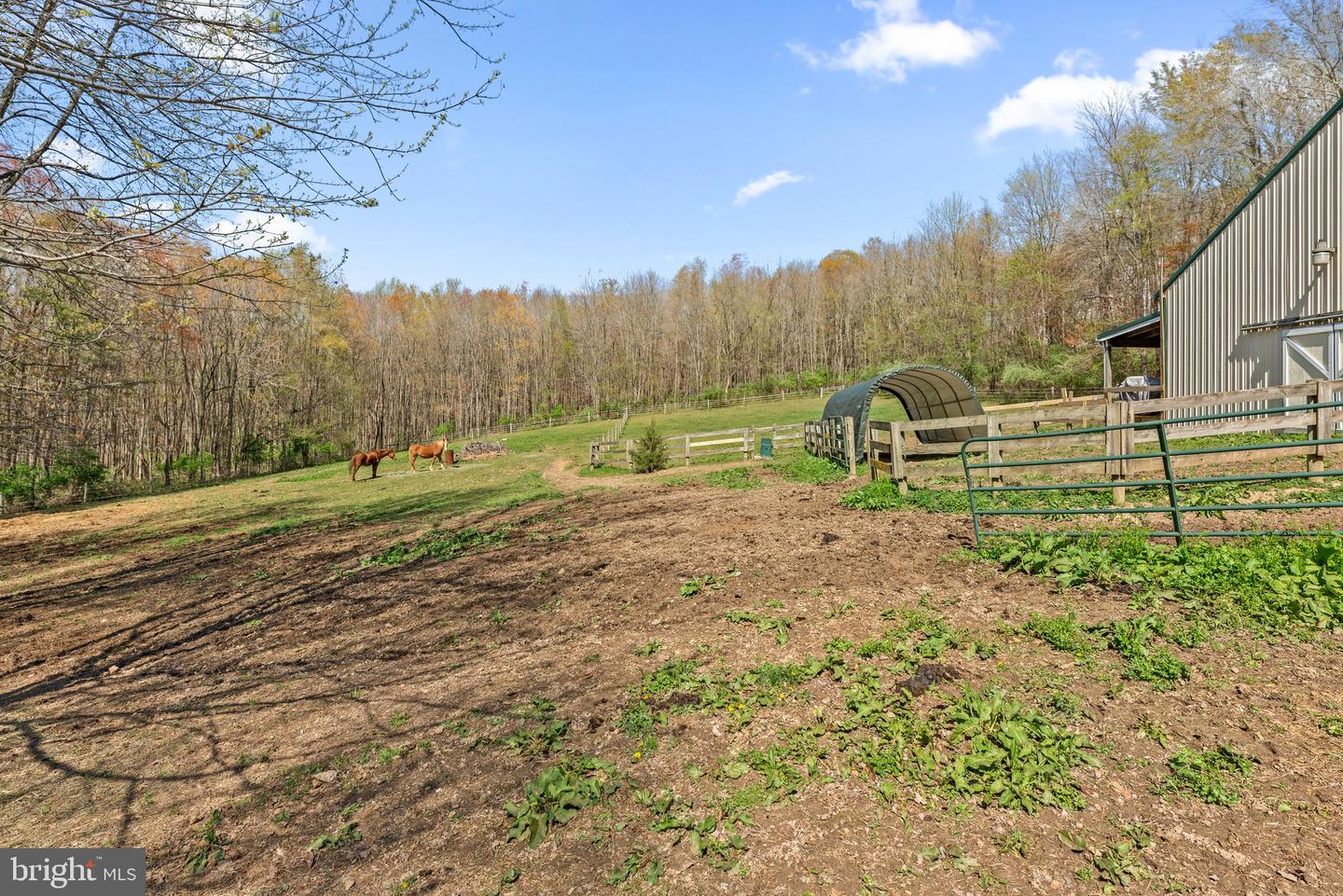 10855 Bethesda Church Rd Property Photo 74