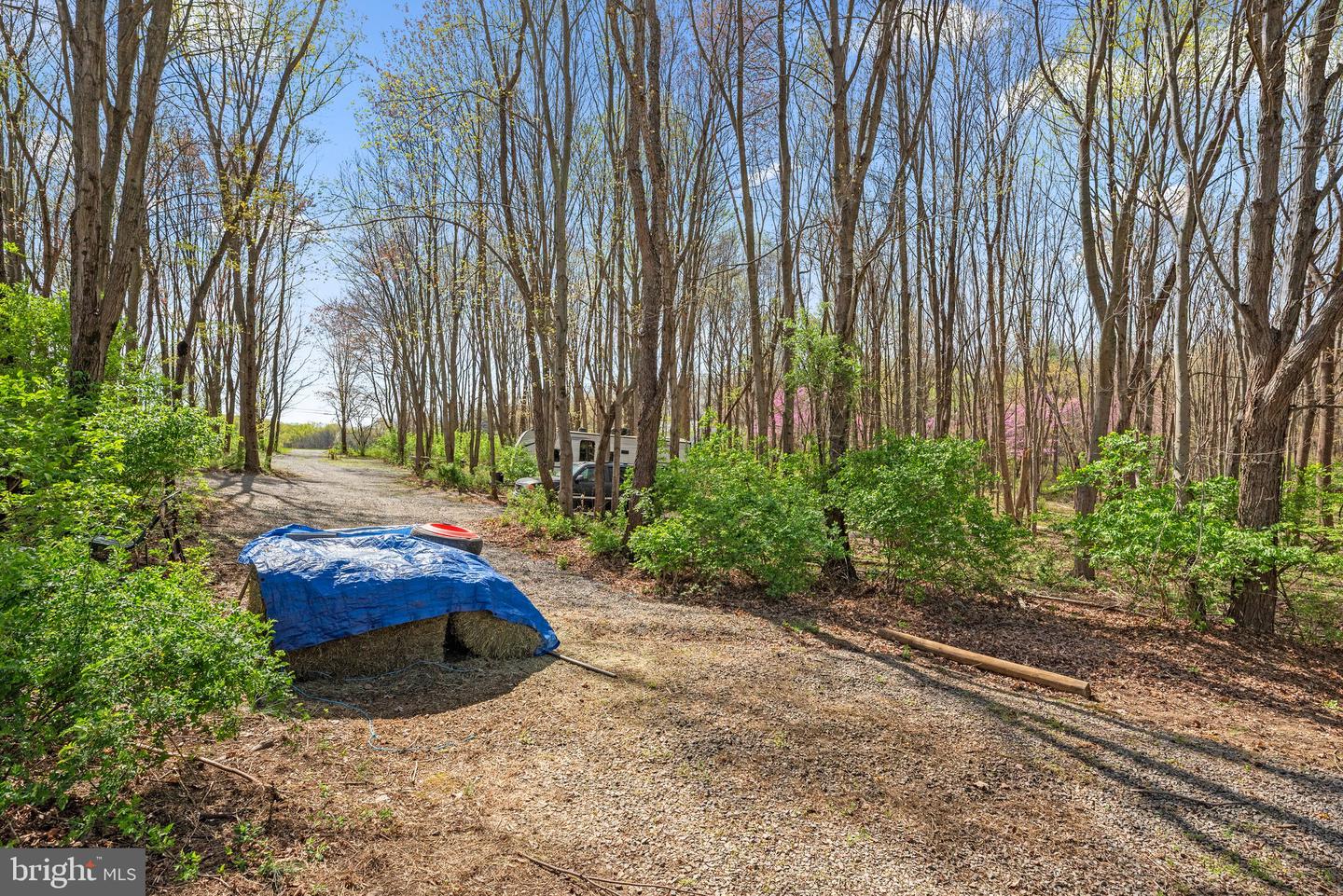 10855 Bethesda Church Rd Property Photo 78