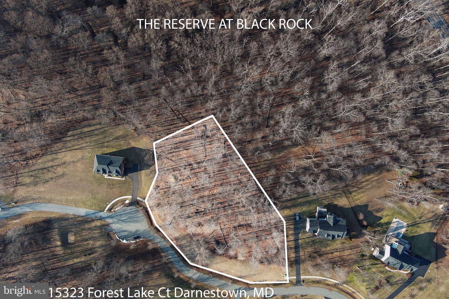 15323 Forest Lake Ct Property Photo 1