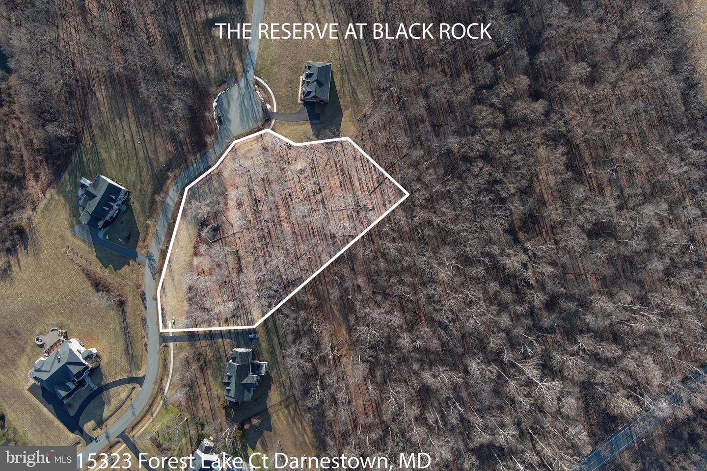 15323 Forest Lake Ct Property Photo 3