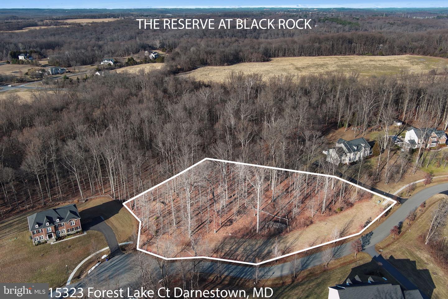 15323 Forest Lake Ct Property Photo 4