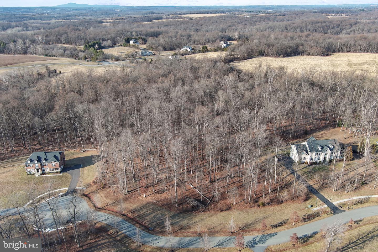 15323 Forest Lake Ct Property Photo 6