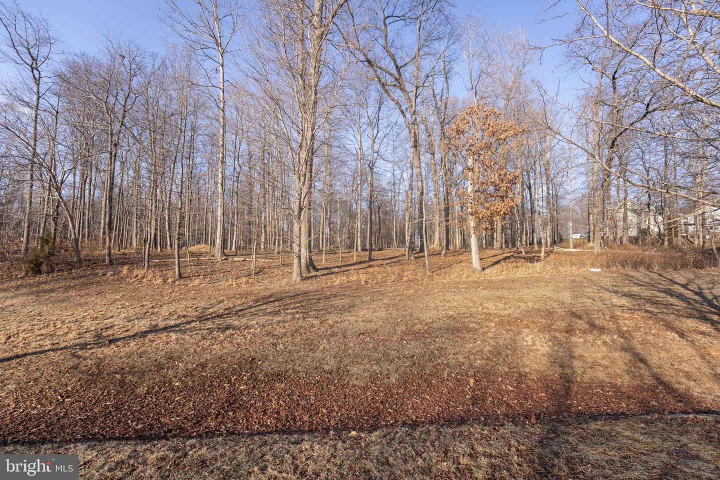 15323 Forest Lake Ct Property Photo 7