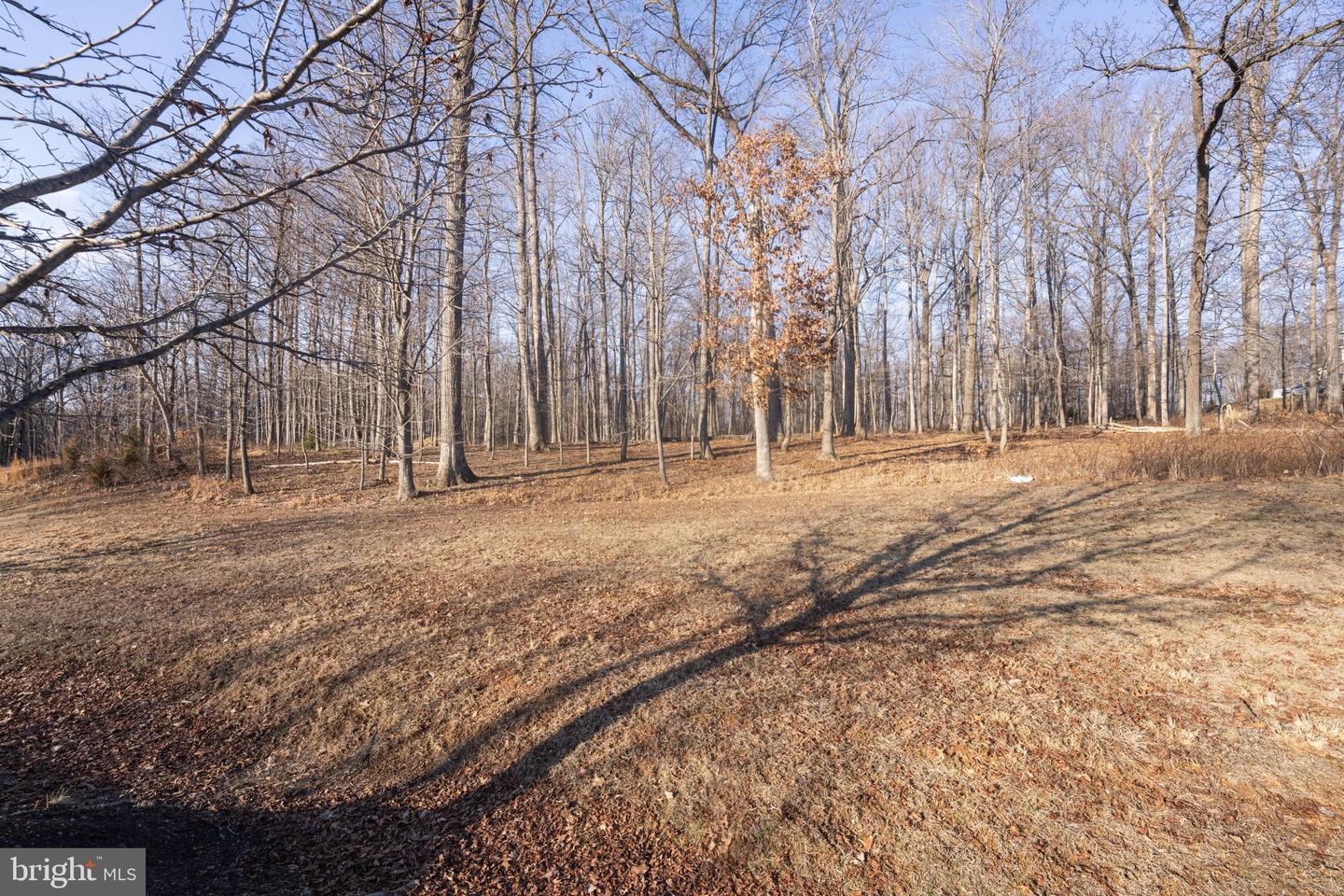 15323 Forest Lake Ct Property Photo 8