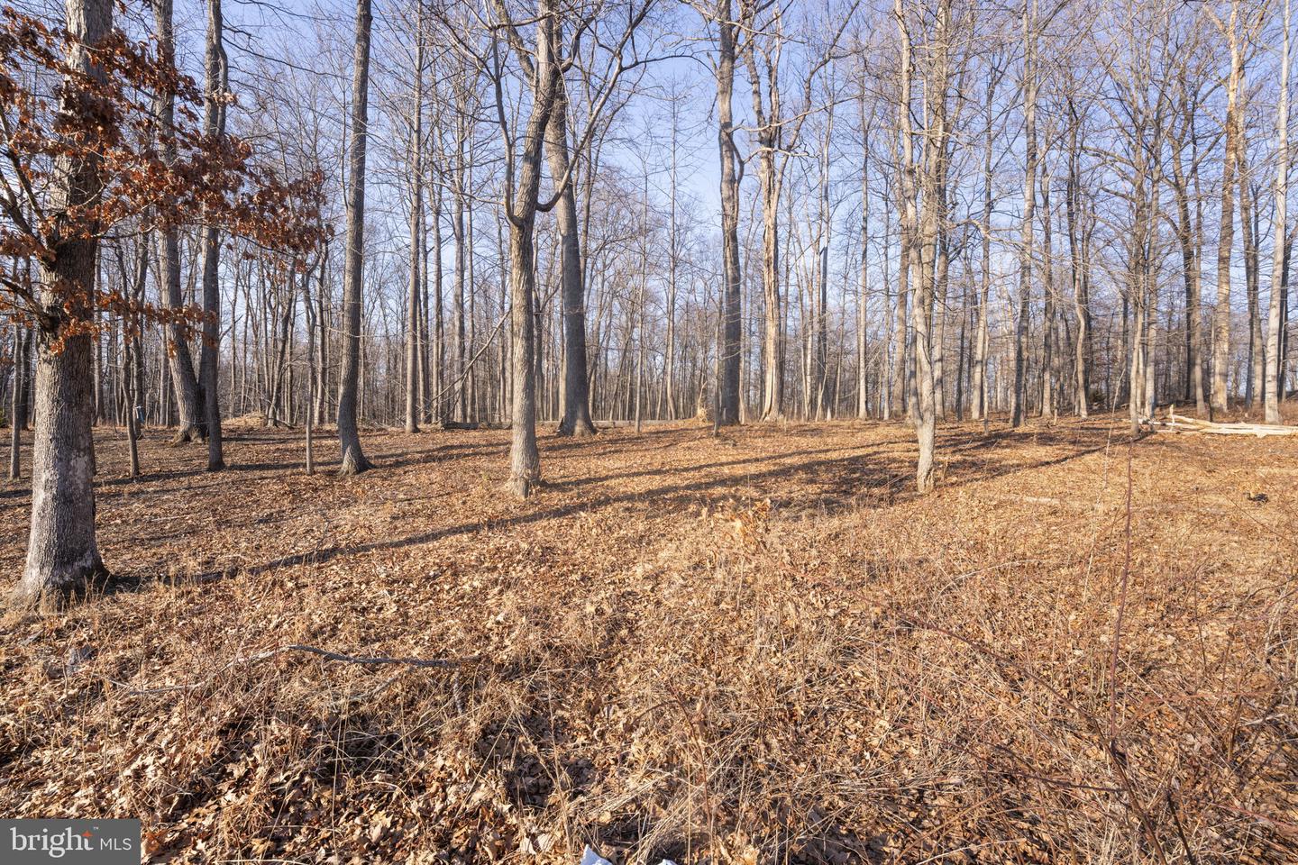 15323 Forest Lake Ct Property Photo 9