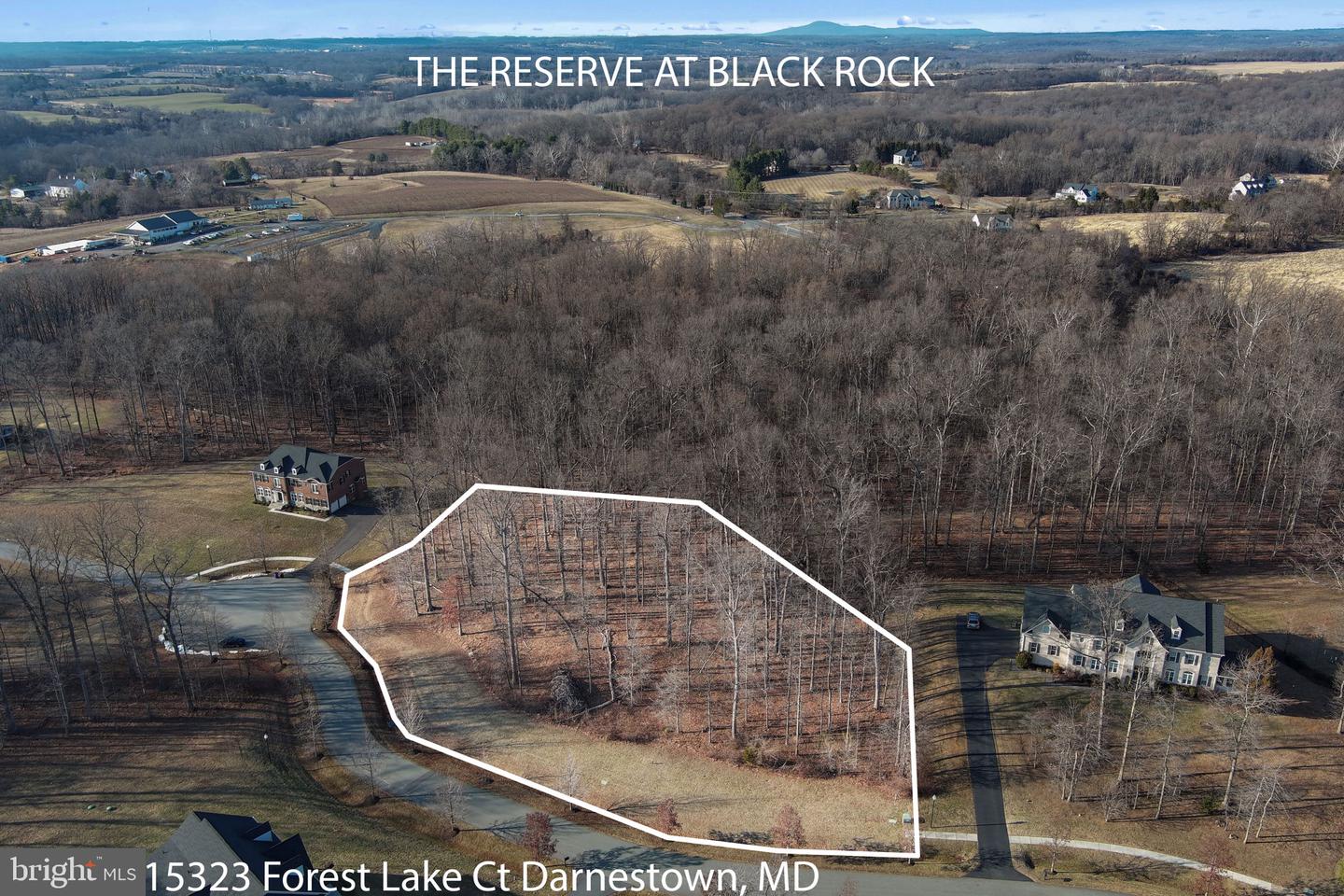 15323 Forest Lake Ct Property Photo 10