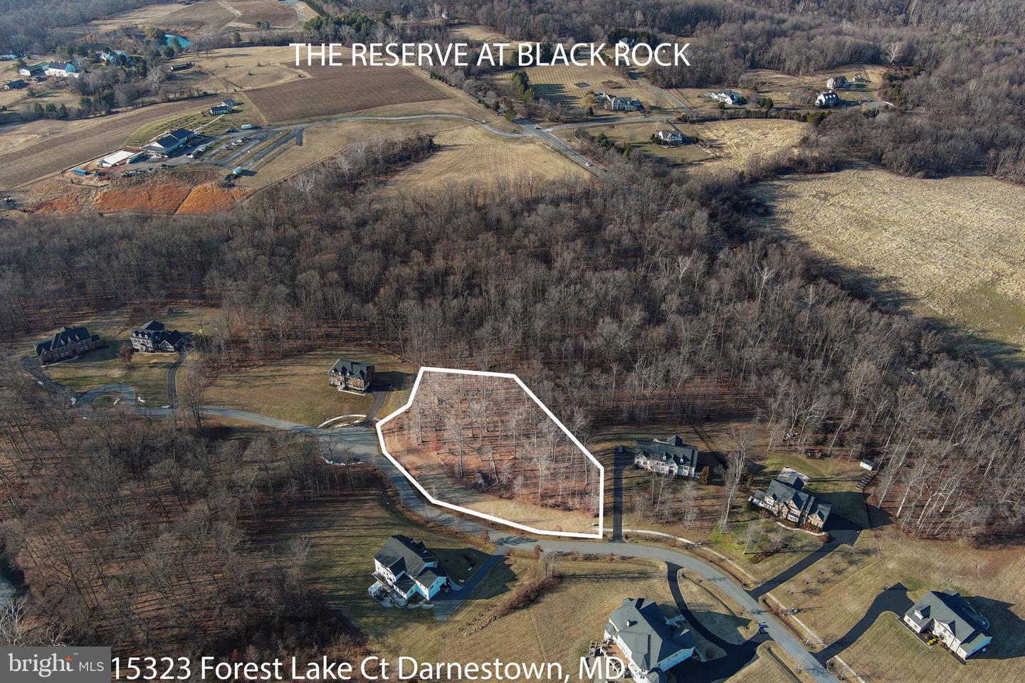 15323 Forest Lake Ct Property Photo 11