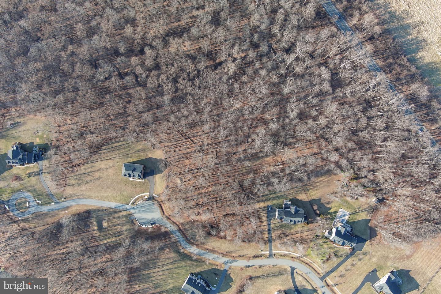 15323 Forest Lake Ct Property Photo 13