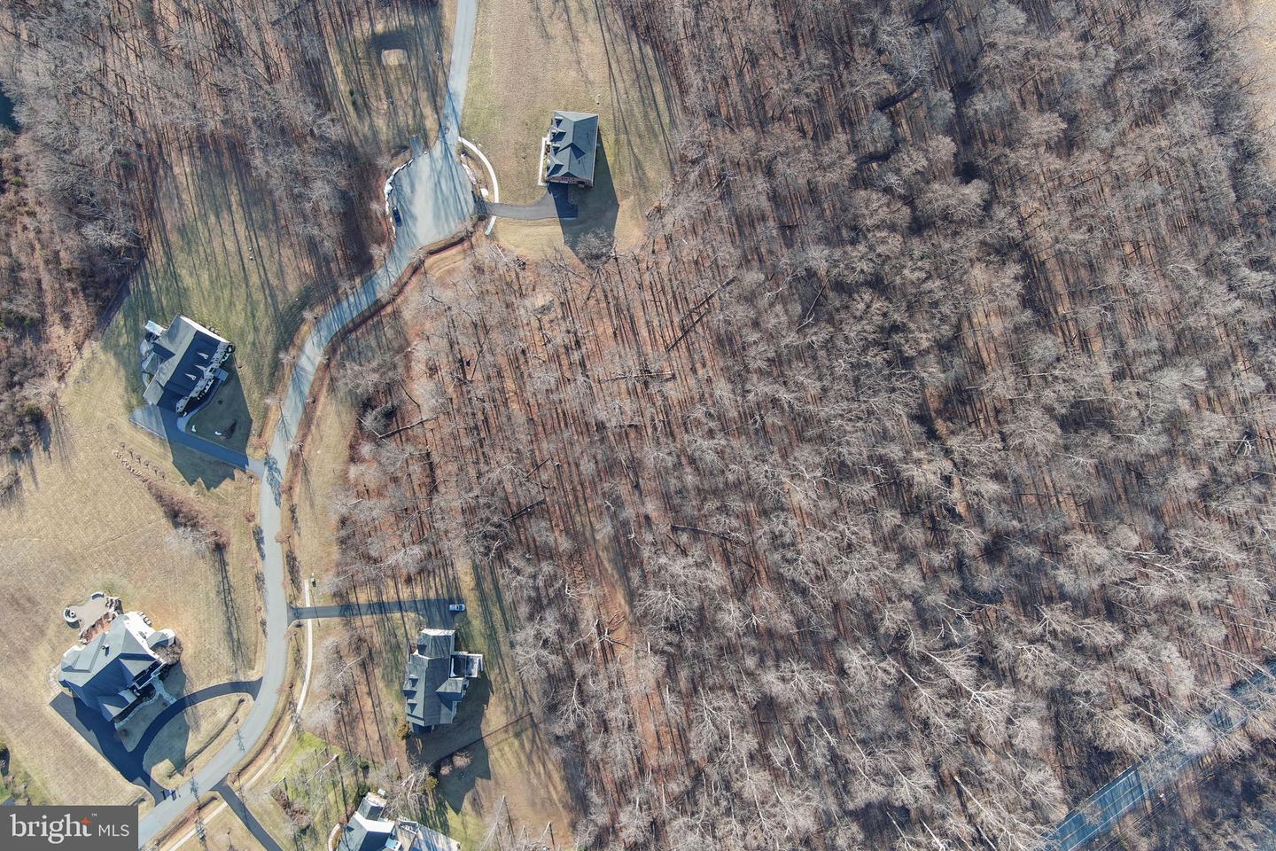 15323 Forest Lake Ct Property Photo 14
