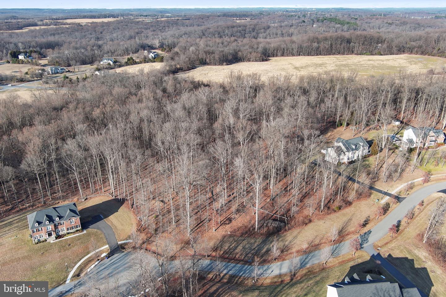 15323 Forest Lake Ct Property Photo 15
