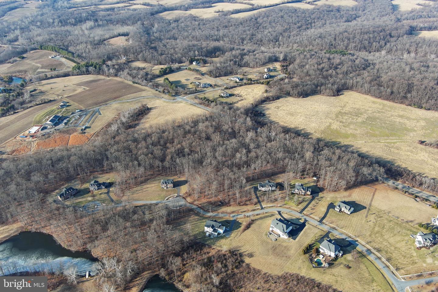 15323 Forest Lake Ct Property Photo 16