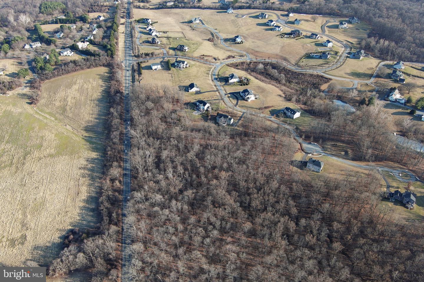 15323 Forest Lake Ct Property Photo 18