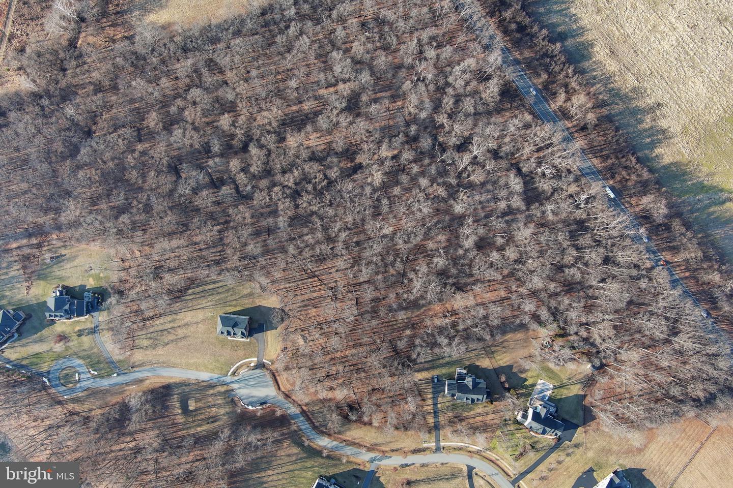 15323 Forest Lake Ct Property Photo 19