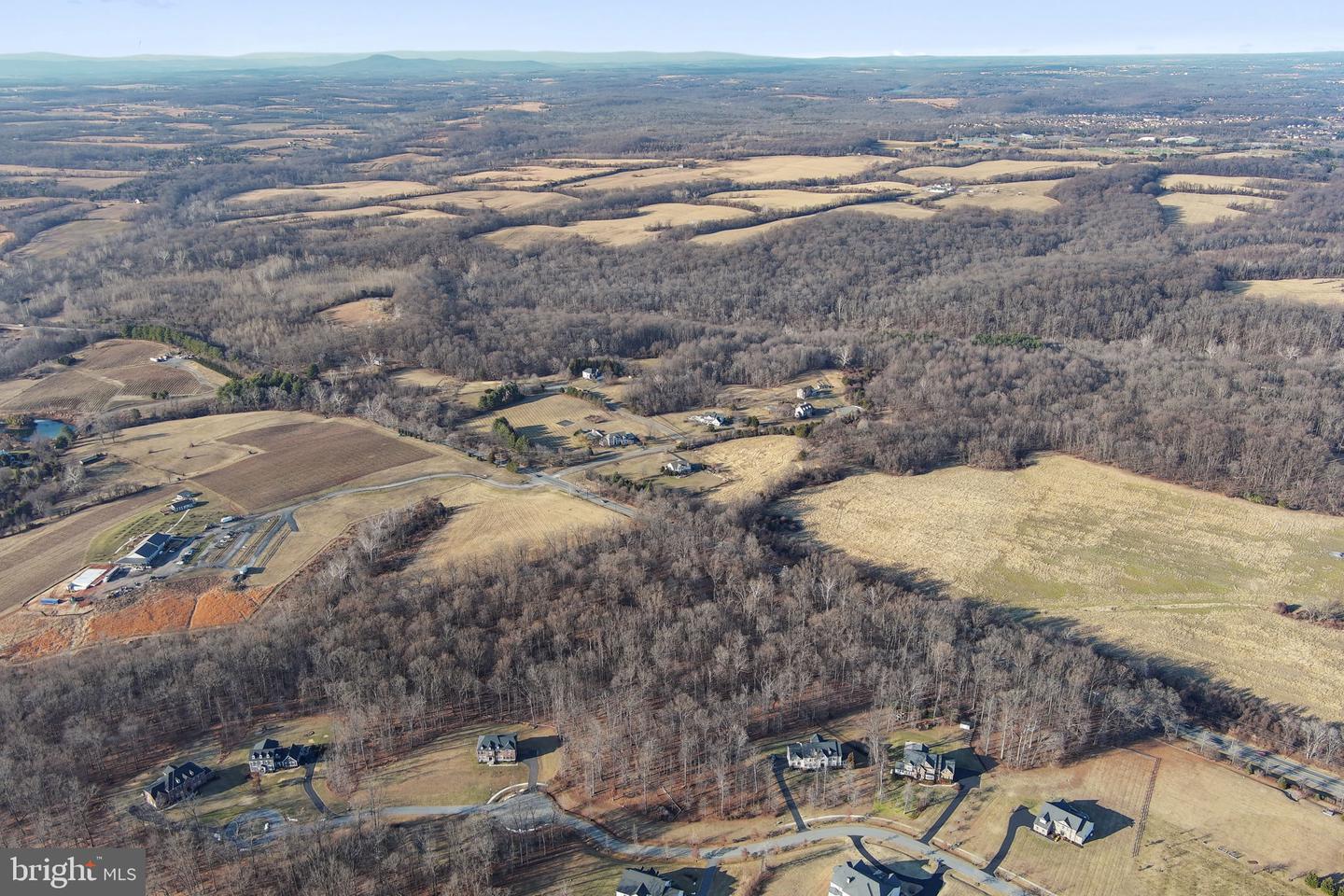 15323 Forest Lake Ct Property Photo 20