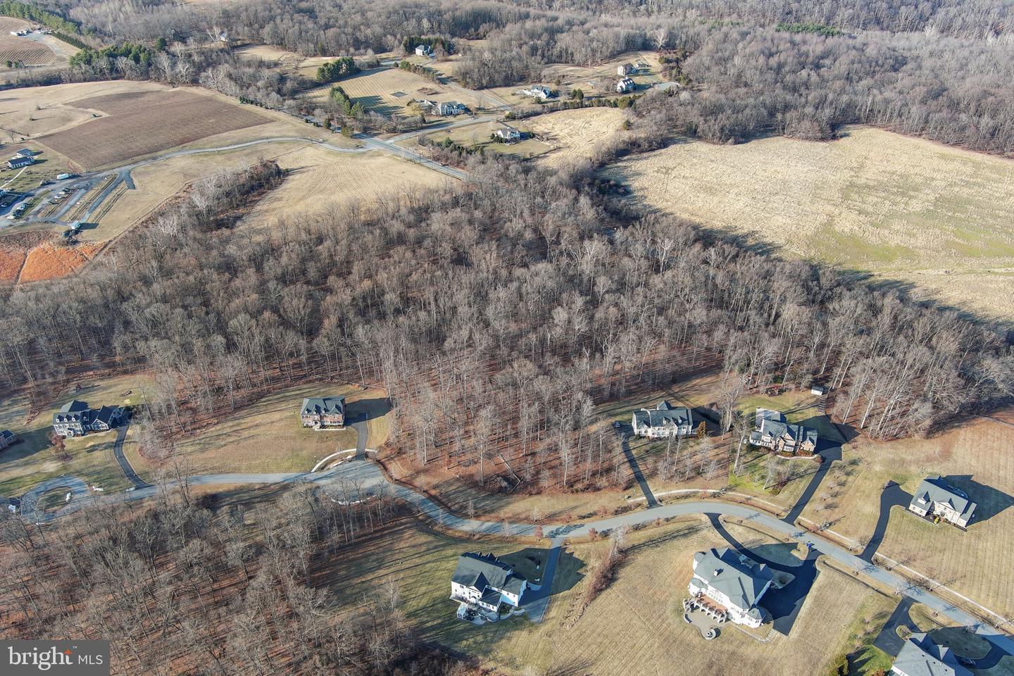 15323 Forest Lake Ct Property Photo 21