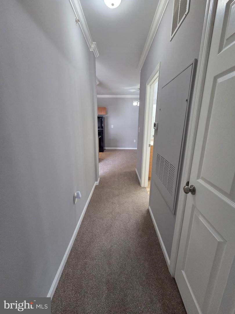 13506 Derry Glen Ct #401 Property Photo 16