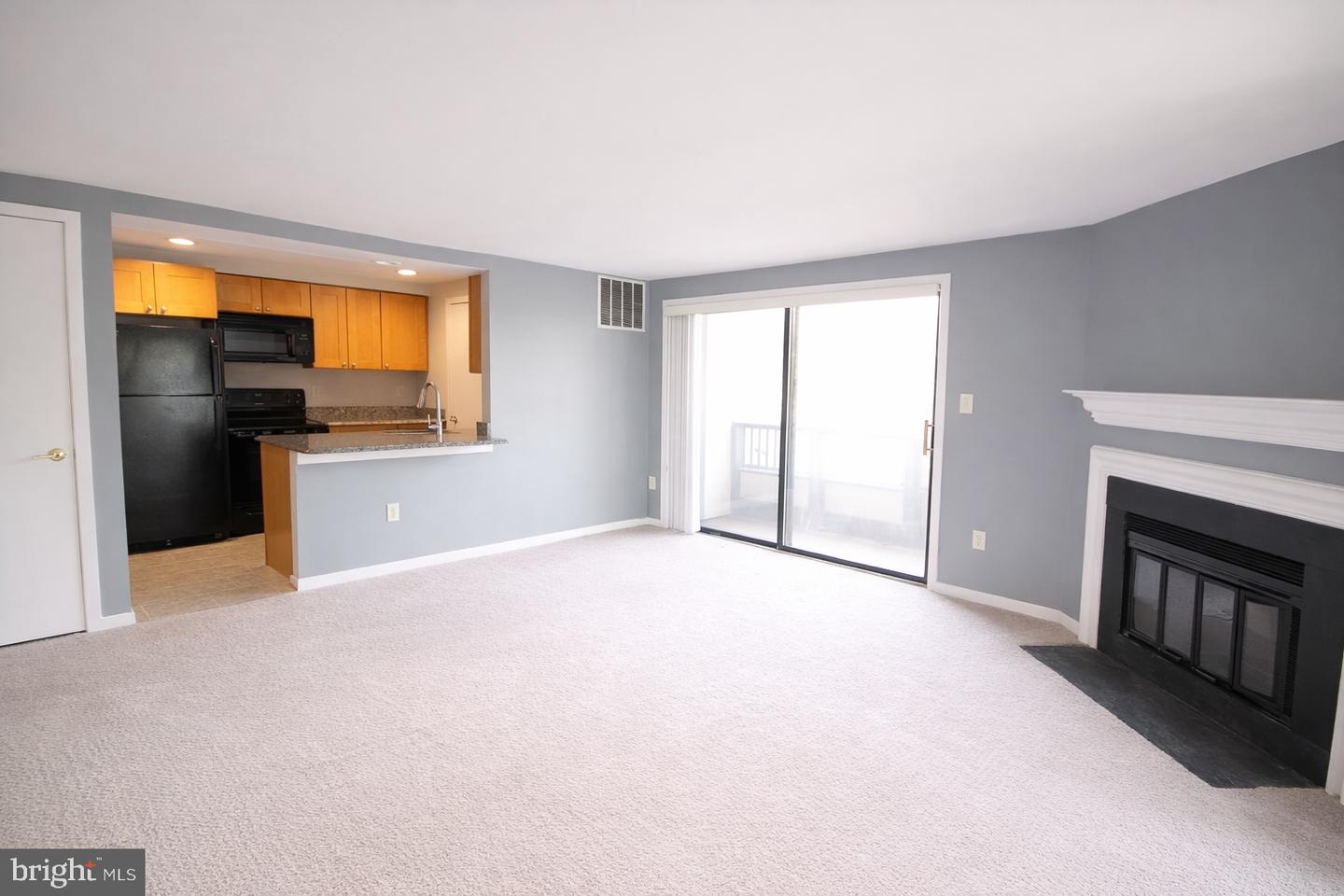 9836 Hellingly Pl #106 Property Photo 4