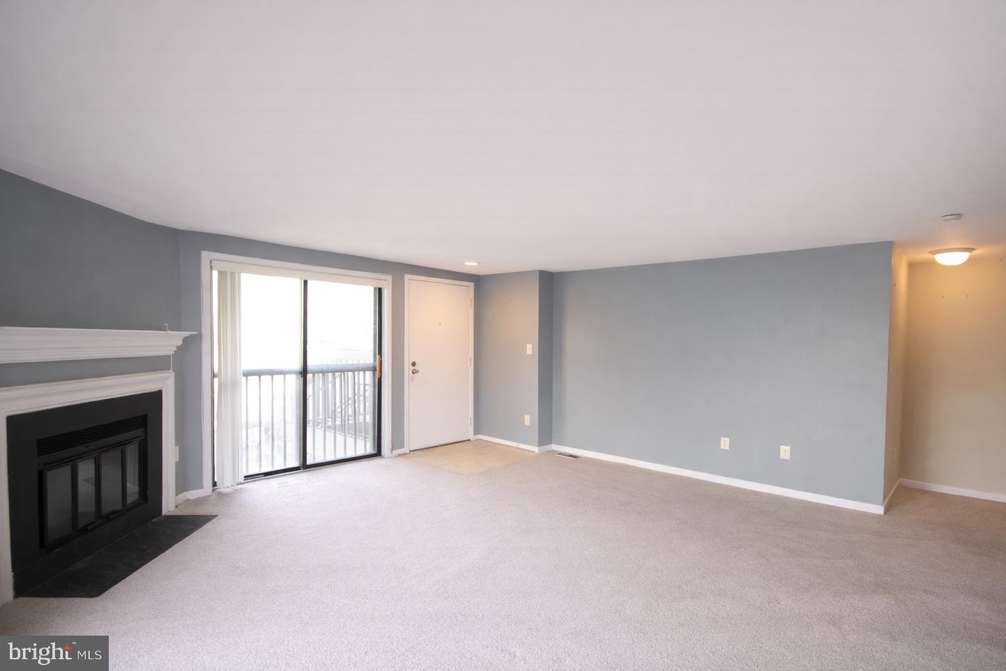 9836 Hellingly Pl #106 Property Photo 6