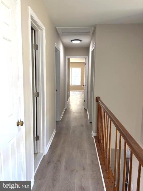 1018 Willowleaf Way Property Photo 21