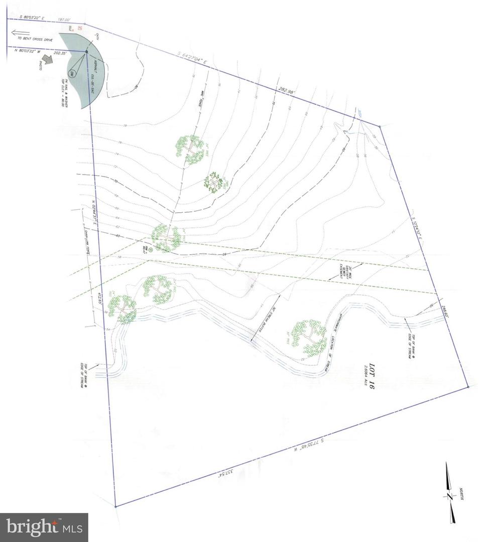 9933 Bentcross Dr Property Photo 12