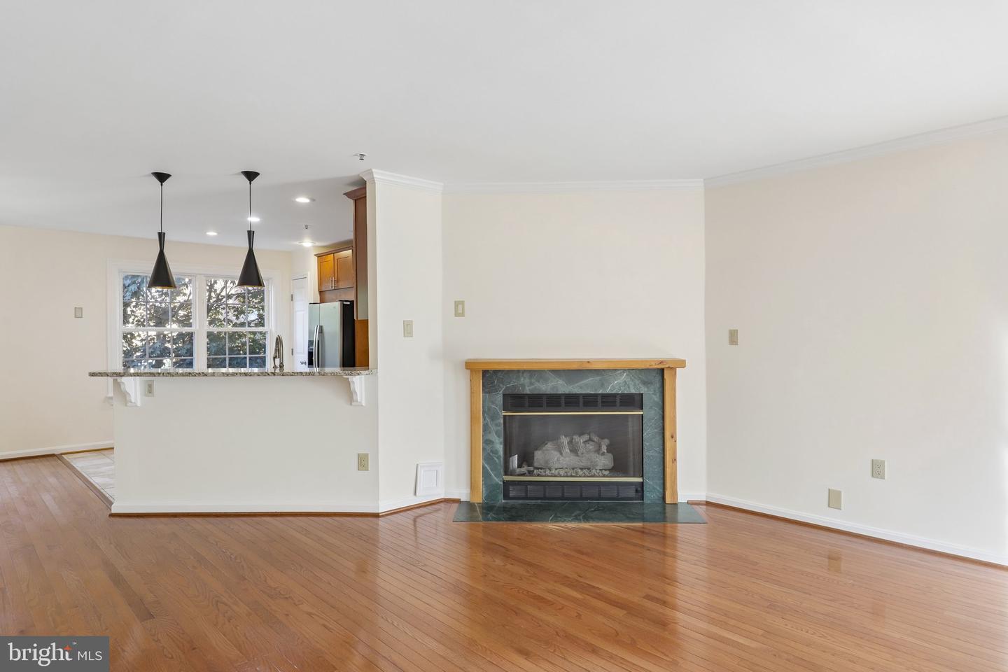 14214 Plum Run Way Property Photo 9