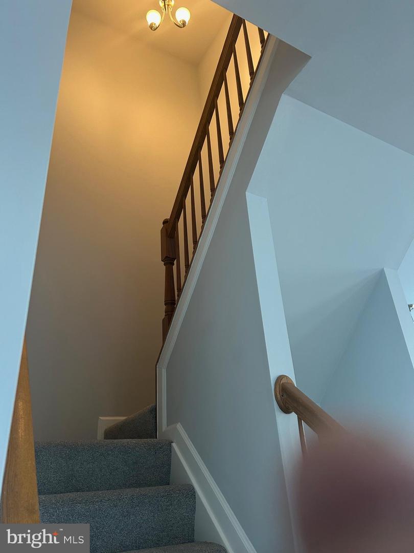 55 Inkberry Cir Property Photo 13