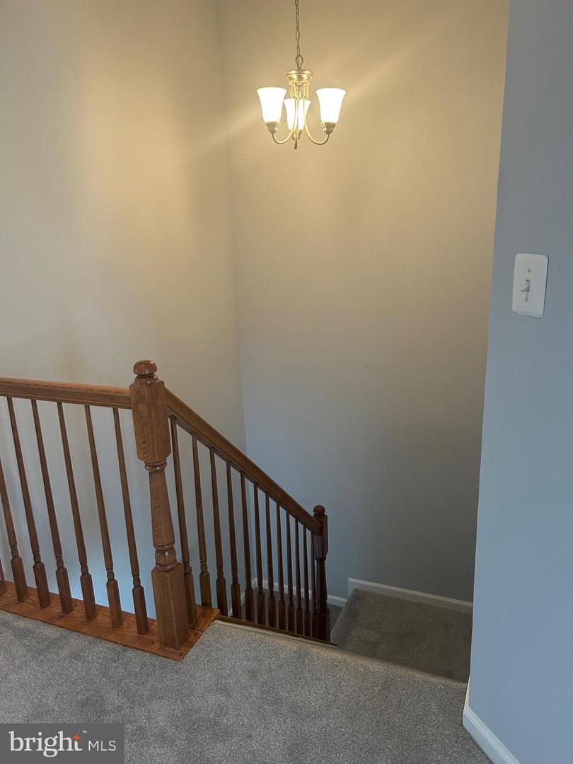 55 Inkberry Cir Property Photo 15