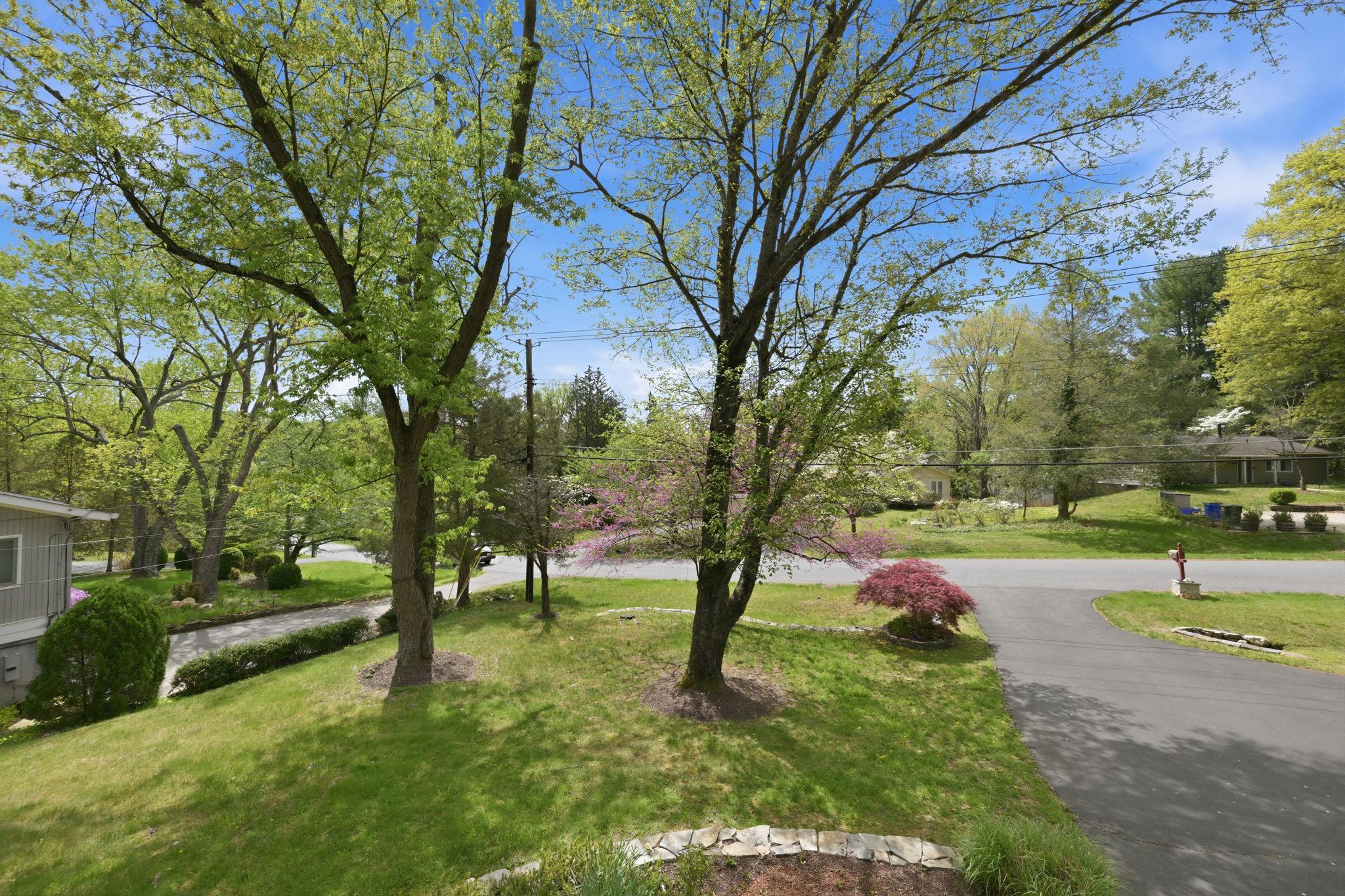 9825 Betteker Lane Property Photo 38