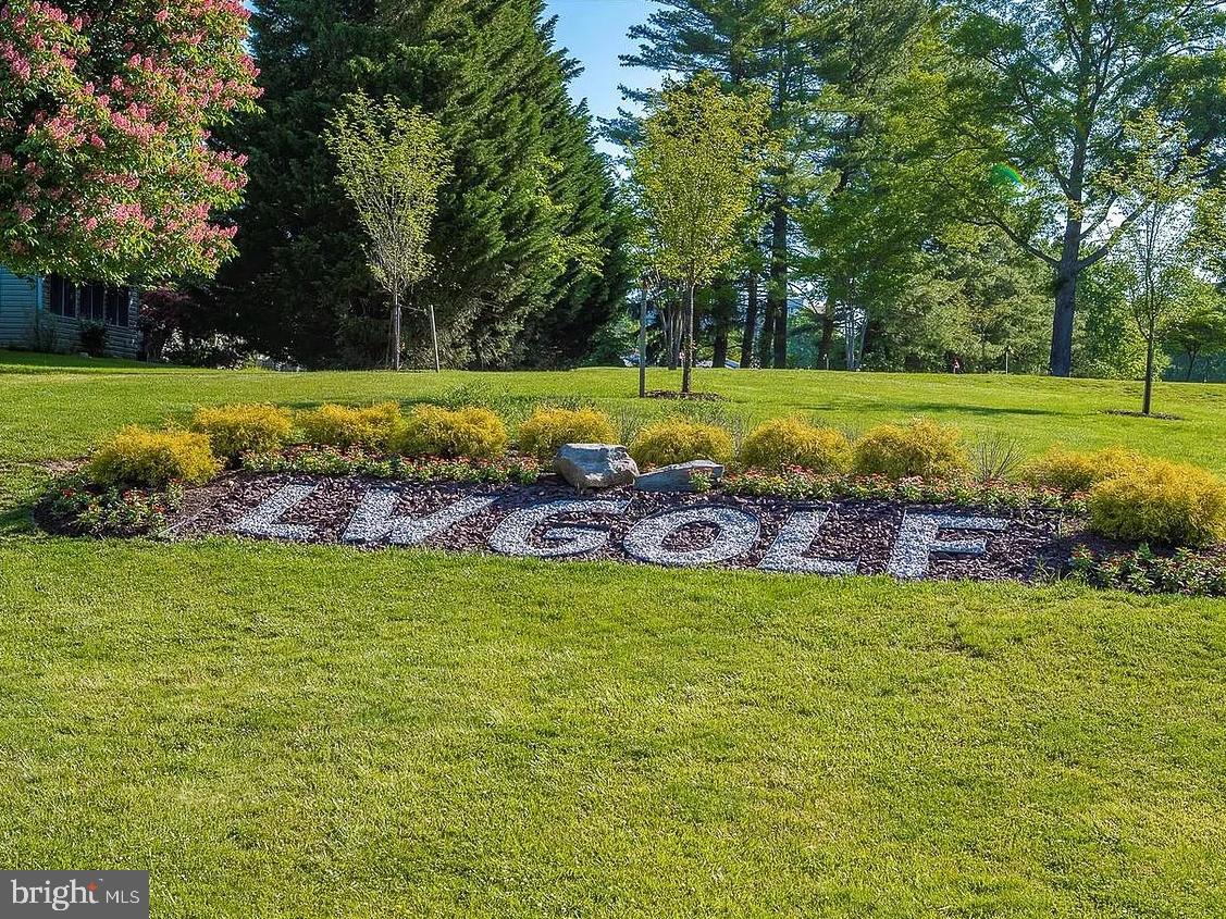 15015 Haslemere Ct Property Photo 38